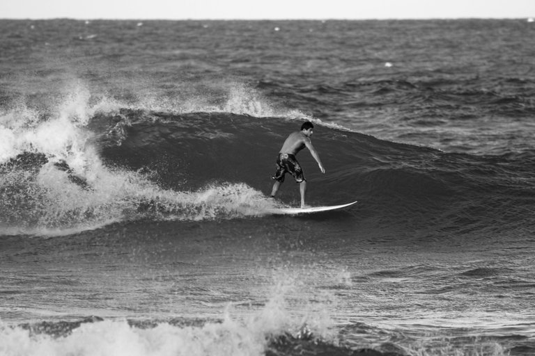 _MG_2747.jpg