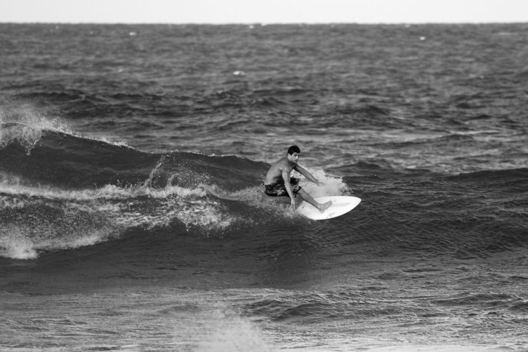 _MG_2750.jpg