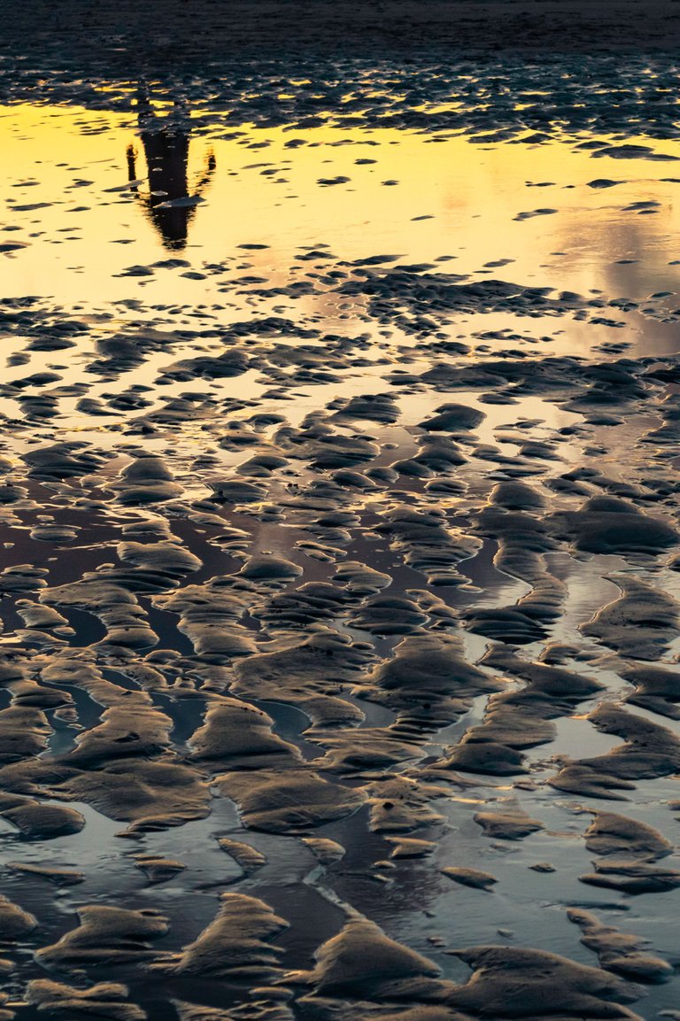 _MG_8655.jpg