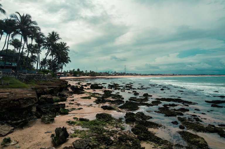 DJI_0121.jpg