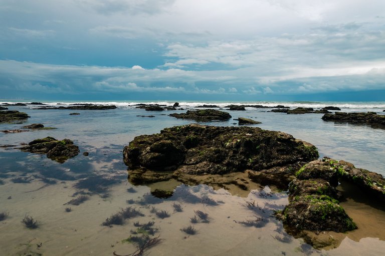 DJI_0136.jpg