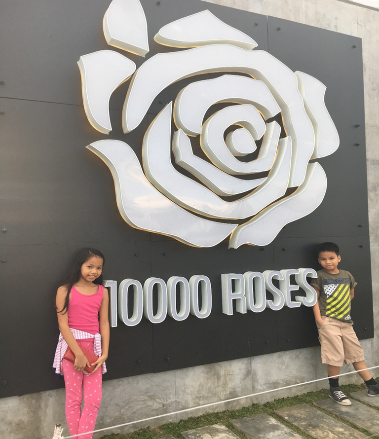 Welcome To The Renowned 10,000 Roses of Cordova, Cebu