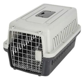 cat carrier.jpg