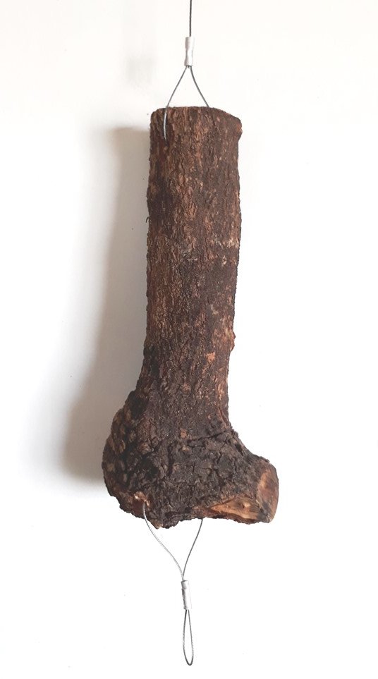wood.jpg