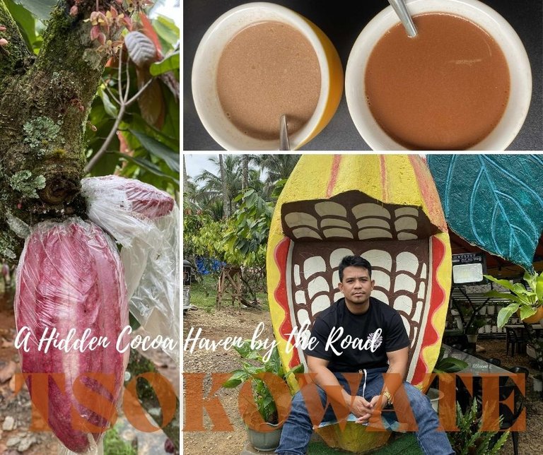 TSOKOWATE: A Hidden Cocoa Haven by the Road