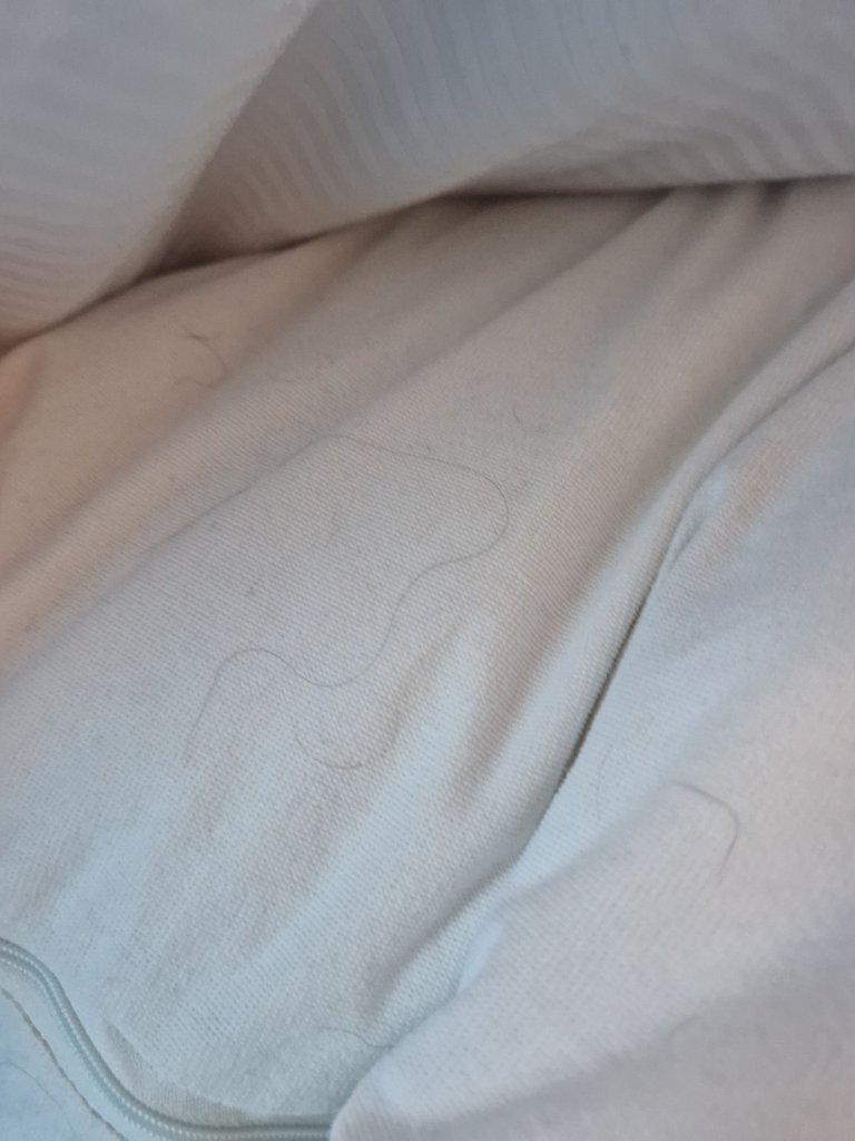 20250803_095024.jpg