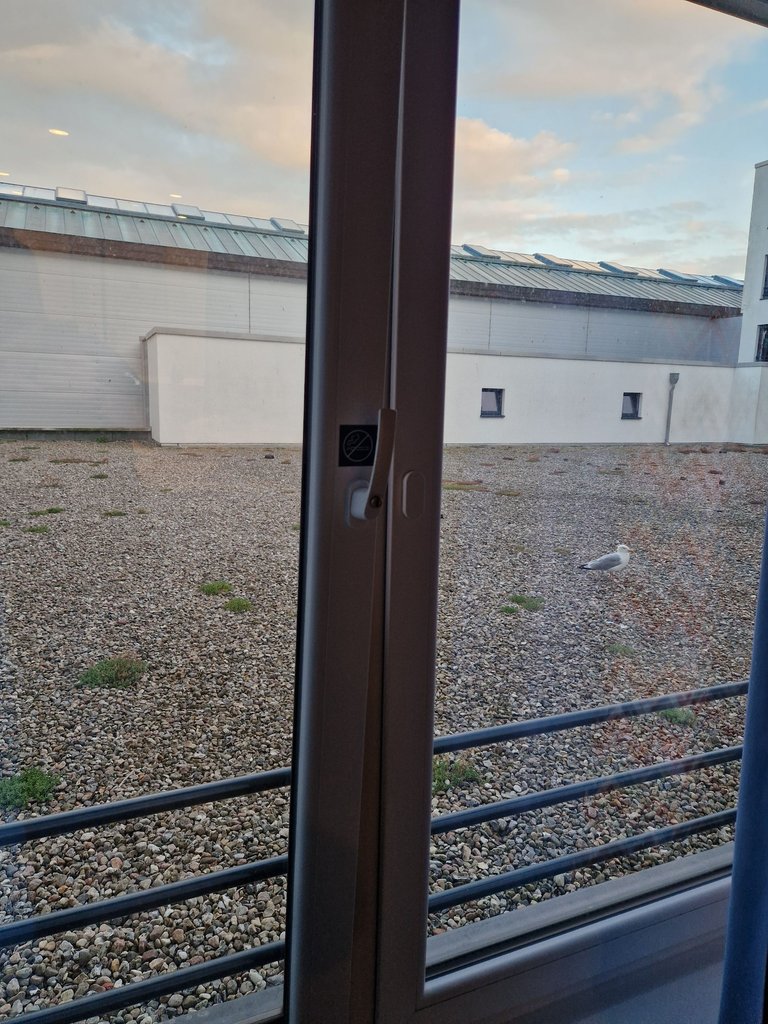 20250801_205533.jpg