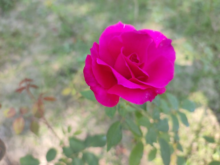 IMG_20221116_133647.jpg