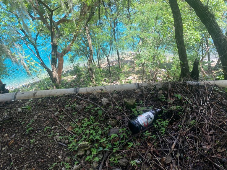 IMG_2691.jpeg