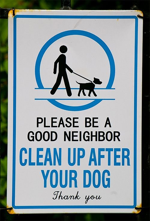 Dog Cleanup_lg.jpg