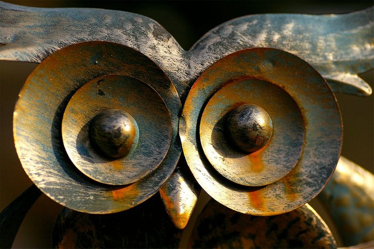 02_OWL EYES.JPG