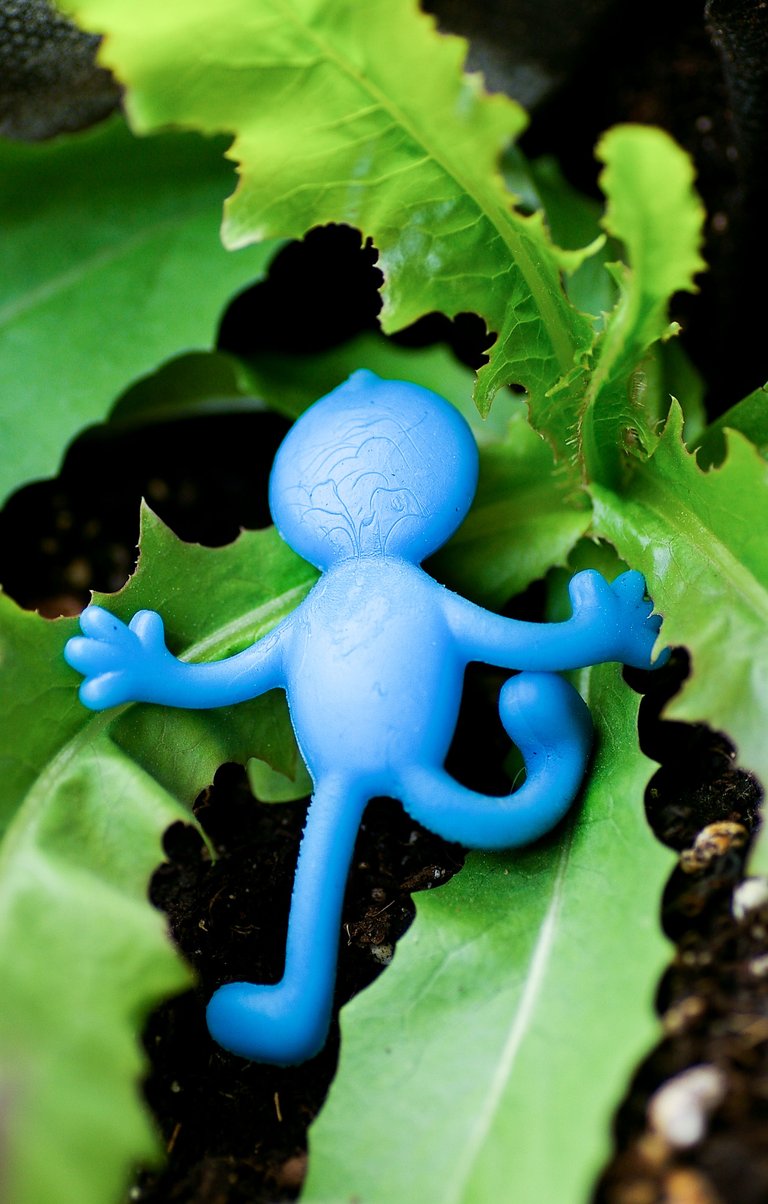 11_Blue_Plant Attack.JPG