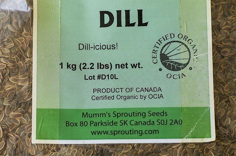 Dill seeds.jpg