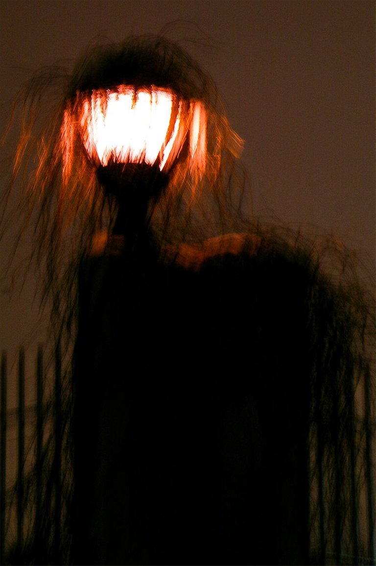 08_HAIRY GLOBE LIGHT.jpg