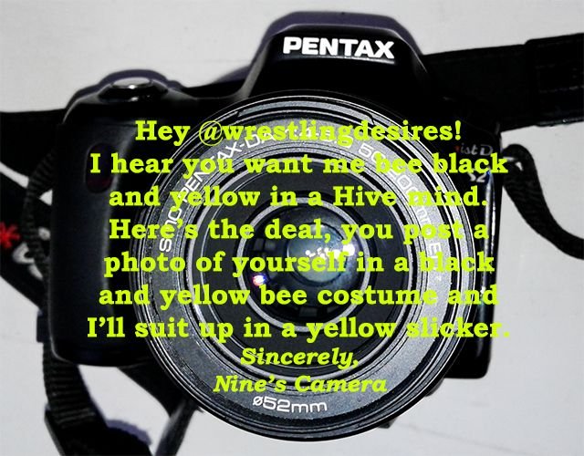 Nine's Camera Says_Bee.jpg