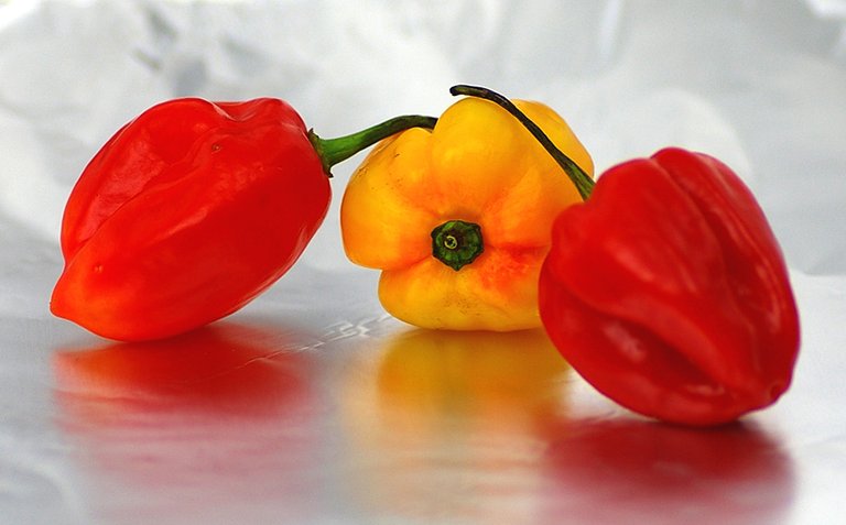 Photo 4_Scotch Bonnet Peppers.jpg