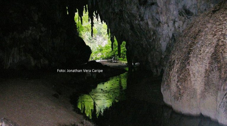cueva-del-guacharo-desde-adentro_1024x746-800x445.jpg