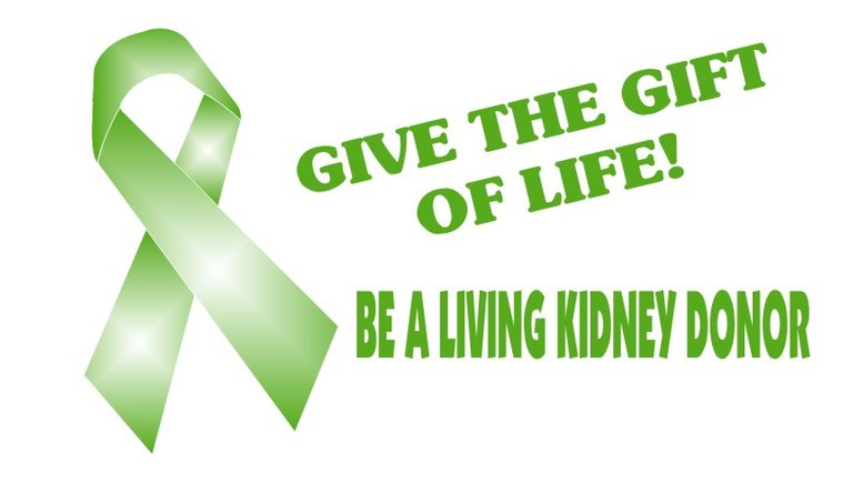 Kidney Donation.jpg