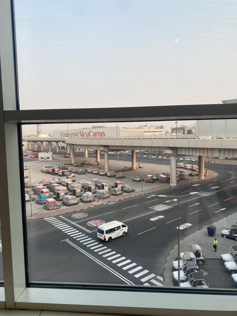 IMG_6382.jpeg