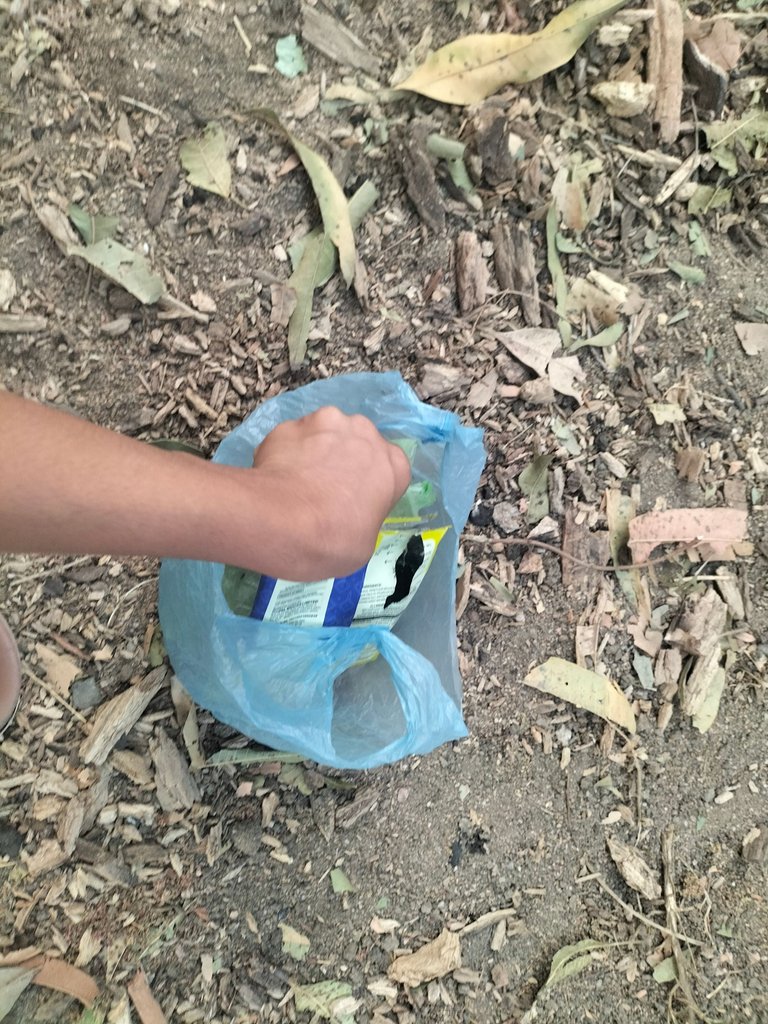 IMG20250330181457.jpg