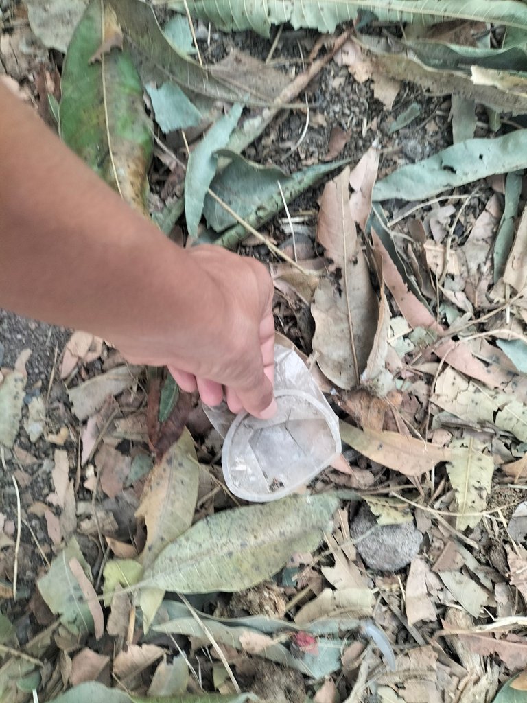 IMG20250330181629.jpg