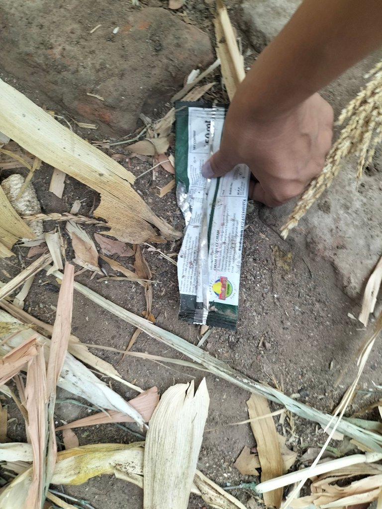 IMG20250504183954.jpg