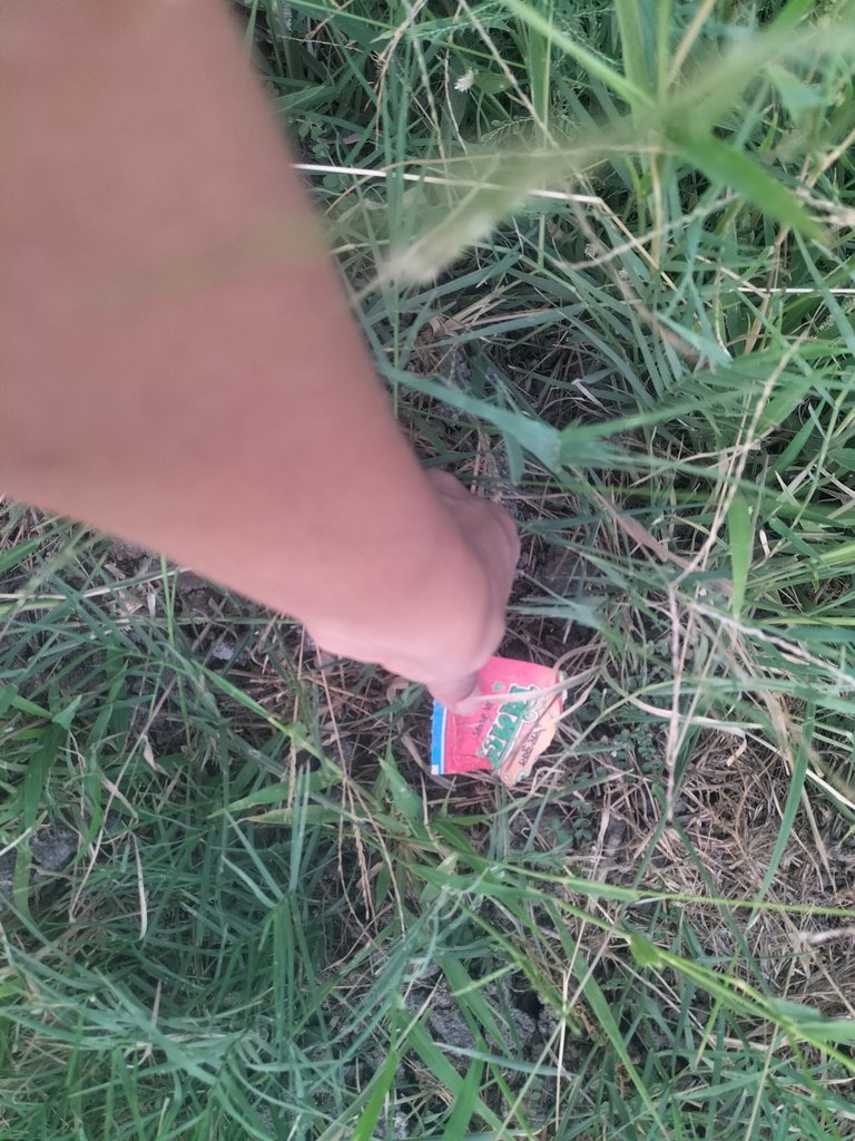 IMG20250418183311.jpg