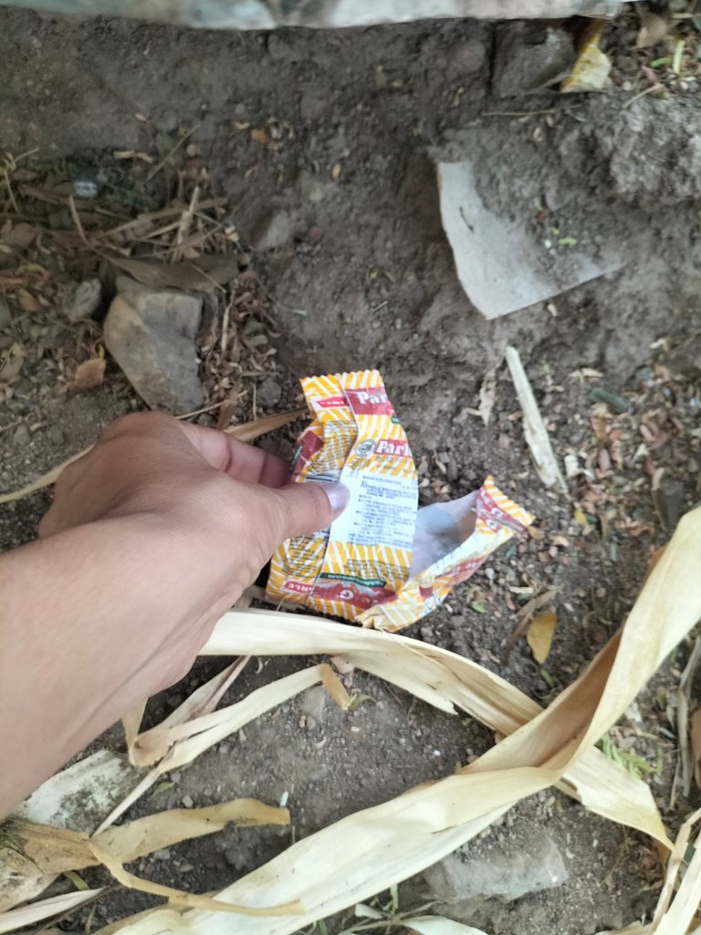 IMG20250504184120.jpg