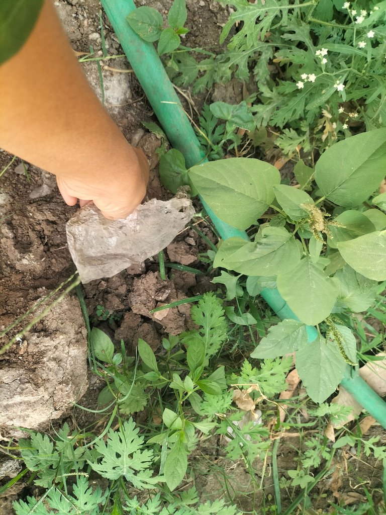 IMG20250324174326.jpg