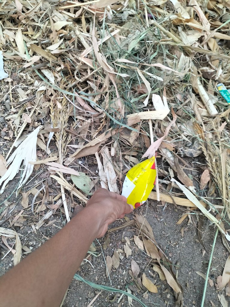 IMG20250423183559.jpg