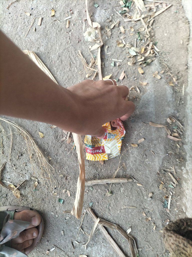 IMG20250329181205.jpg