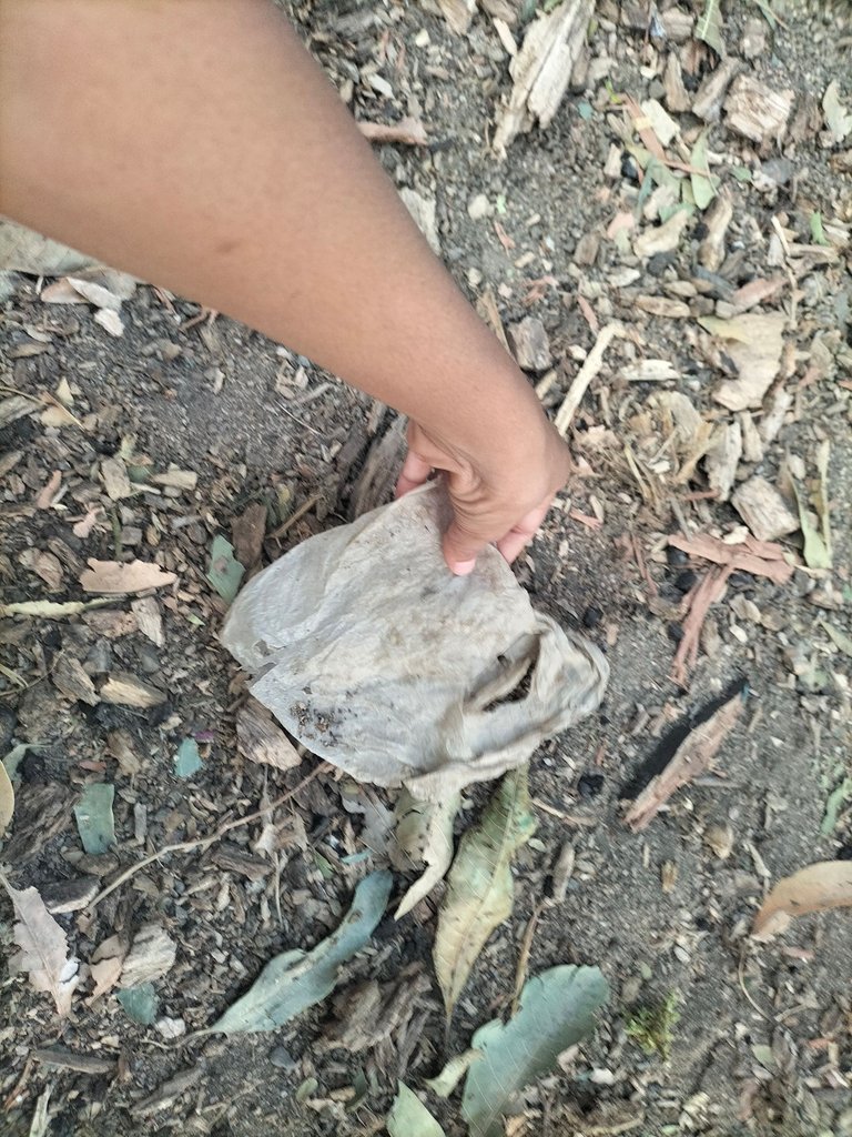 IMG20250330181421.jpg