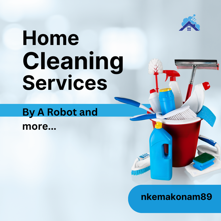 Blue And Grey Modern Home Cleaning Services Instagram Post_20231118_133240_0000.png