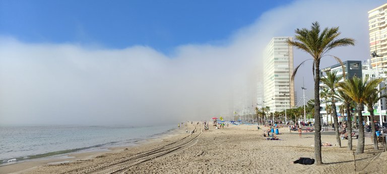 mist_beach.jpg