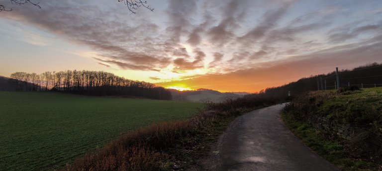 field_walk_sunset.jpg