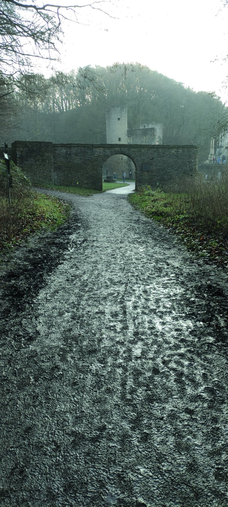 muddy_path.jpg