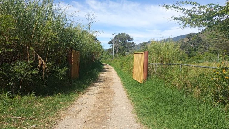 WhatsApp Image 2025-10-26 at 12.13.22 PM (2).jpeg