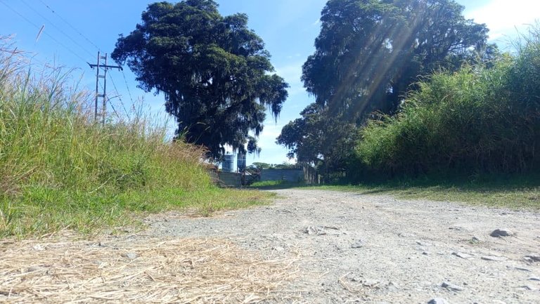 WhatsApp Image 2025-10-26 at 12.13.30 PM.jpeg