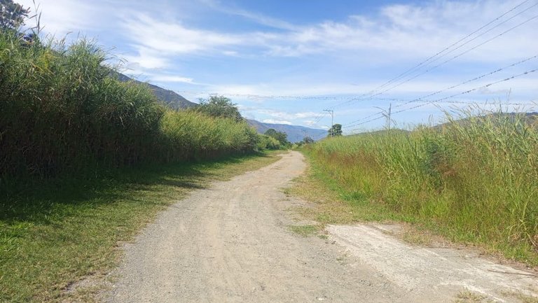 WhatsApp Image 2025-10-26 at 12.13.22 PM.jpeg