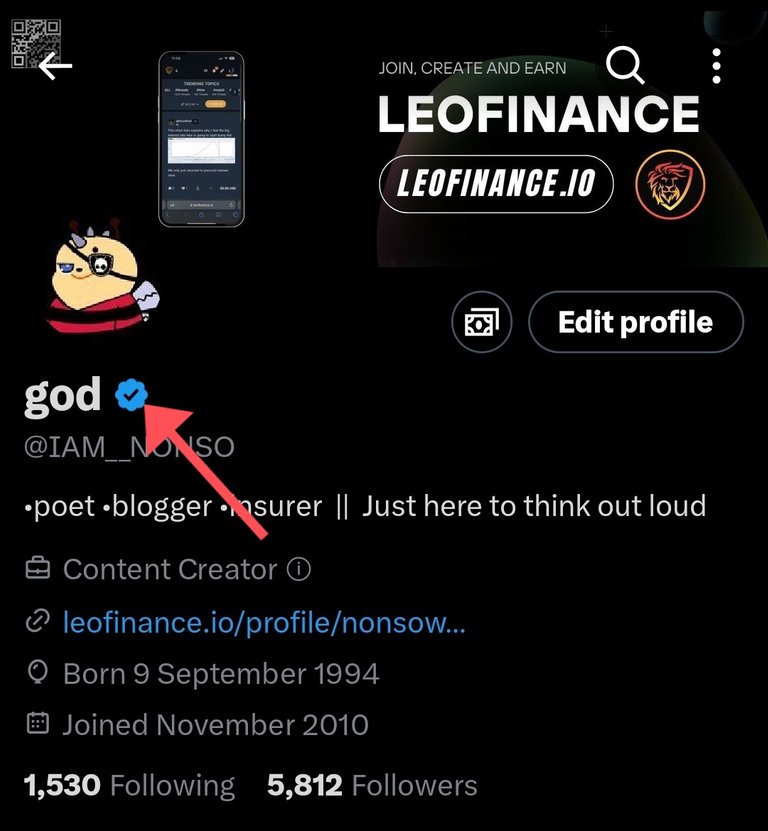 screenshot of a twitter profile page