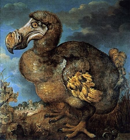 jan-savery-dodo-1d236d-small.jpg