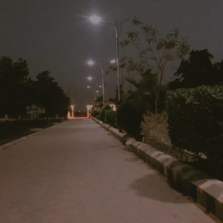1000090275.jpg