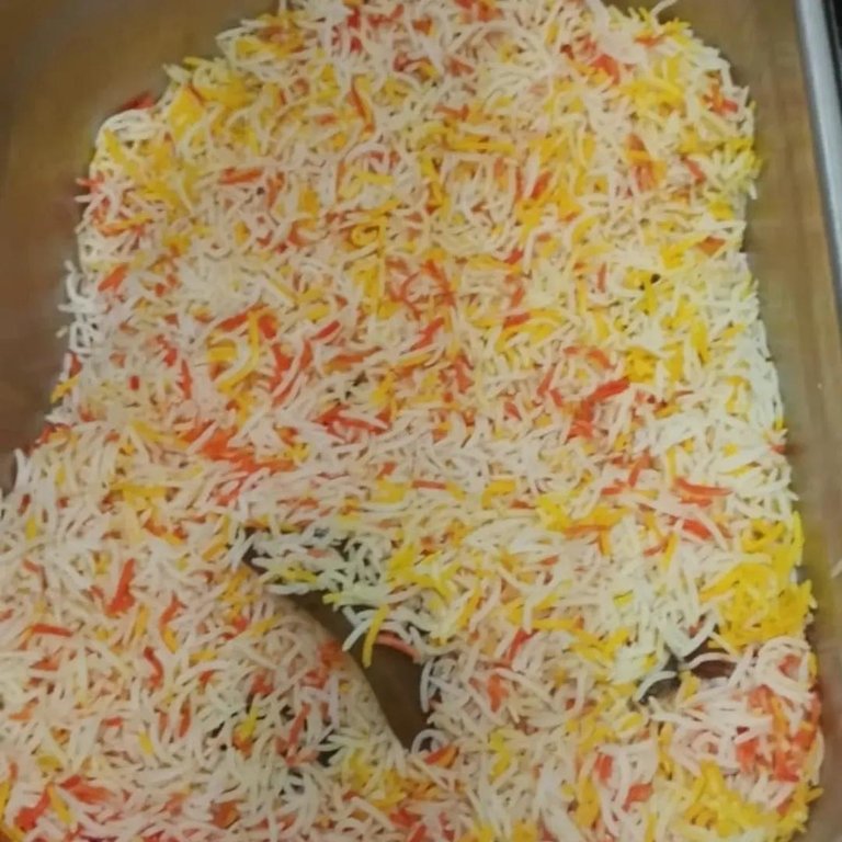 1000089060.jpg