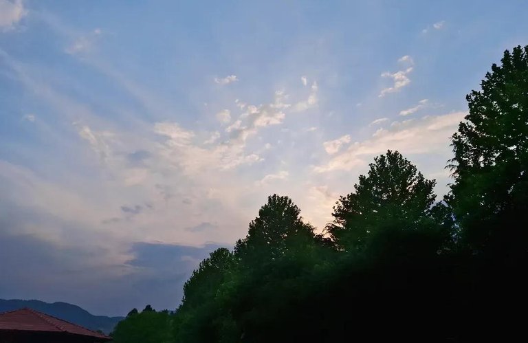 1000088069.jpg