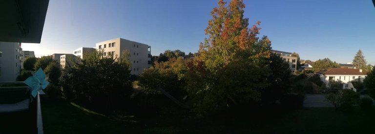 311163895_631276745343019_4990159477736026351_n.jpg