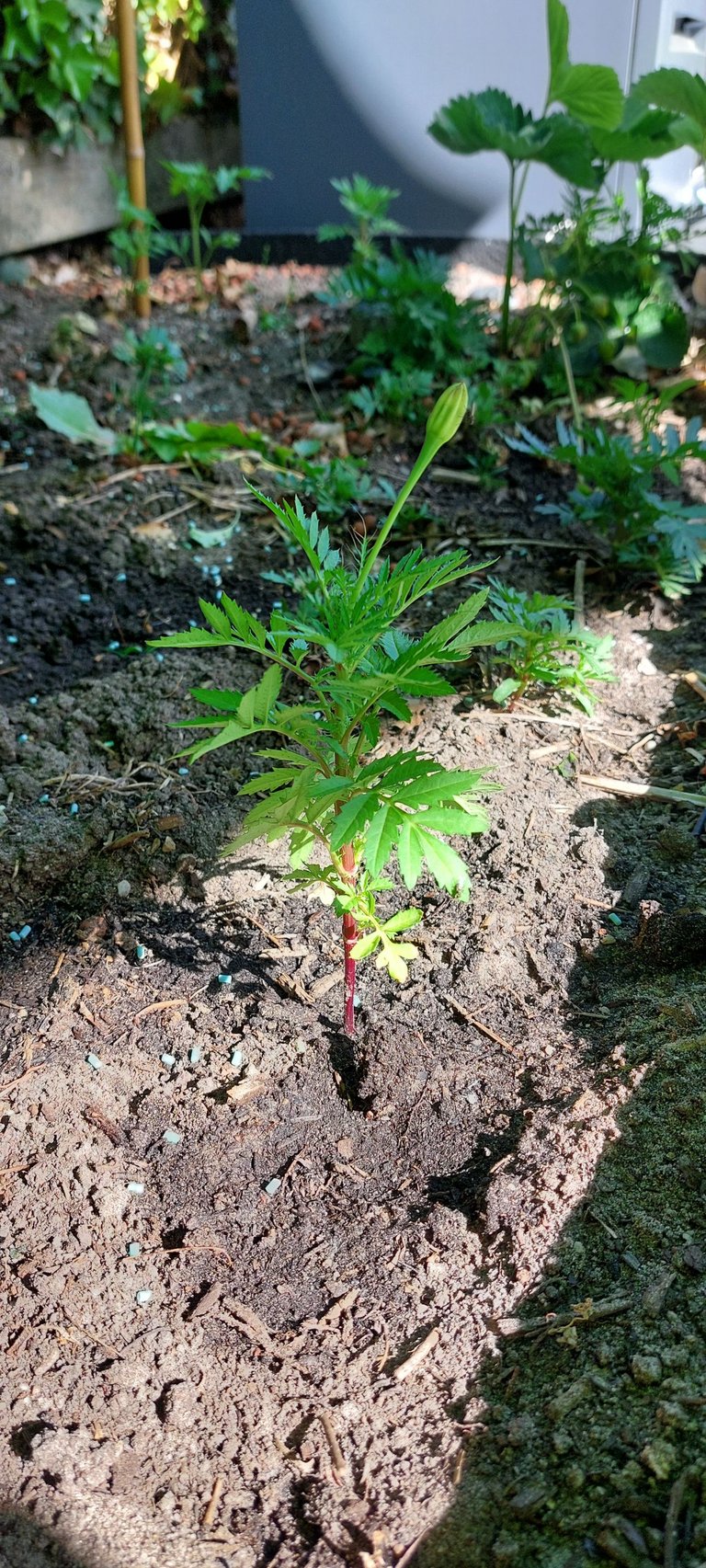 2025-05-15 17.03.22.jpg