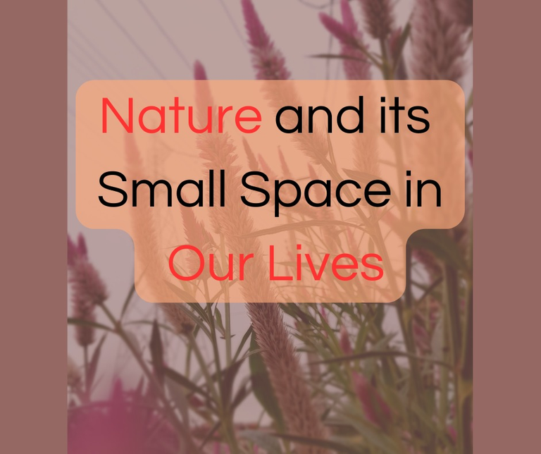 Nature and its Small space in our Lives