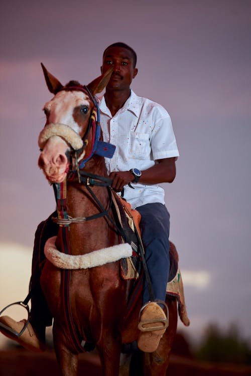 free-photo-of-man-riding-a-horse-at-dusk-with-a-dramatic-sky.jpeg