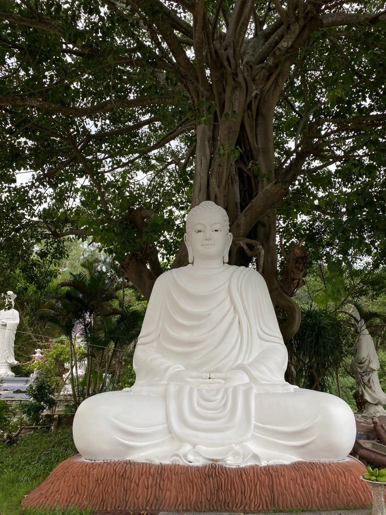 Buddha Tathagata - The First Buddha on Earth