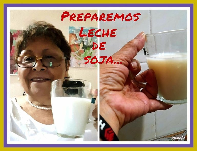 Portada  leche de soja.jpg
